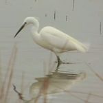 Paul Broadhead - @broadhead.paul - Instagram