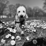 Paul Broadhead - Facebook
