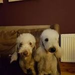 Paul Broadhead - @big_cam._ - Instagram