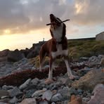 Paul Brohan - Facebook