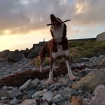 Paul Brohan - @paul.brohan - Instagram
