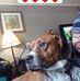 Paul Jay Bromell - Facebook