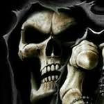 Paul Brougham - @paulbrougham - Instagram