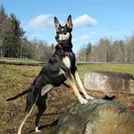 Paul Bruning - @bruning40 - Instagram
