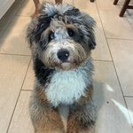 Paul Buehler - @buehlio - Instagram