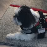 Paul Bunt - @paul.bunt - Instagram