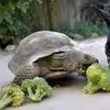 paul bunt - @paul.bunt - TikTok