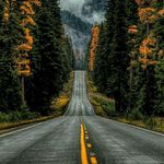 Paul Bureau - @paul_bureaux - Instagram