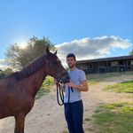 Paul Bureau - @paul_bureau1 - Instagram
