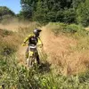 paulbureau680 - @paulbureau680 - TikTok
