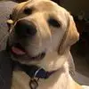 Paul Burnham - @paul.burnham5 - TikTok