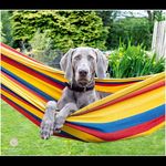 Paul Burnham - @paul__burnham - Instagram