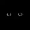 Paul Burnham - @paulburnham9506 - TikTok