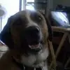 paulburroughs14 - @paulburroughs14 - TikTok