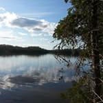 Paul Burton - @paul.burton.75491 - Instagram