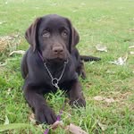 Paul Butts - @paulbutts45 - Instagram