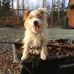 Paul Butts - Facebook