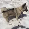 Paul Buxbaum - @paul.buxbaum - TikTok