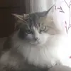 Paula - @paulacaamanoo - TikTok