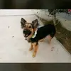 paulina.caamano - @paulina.caamano - TikTok