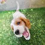 Paul cabot - @miraartemova830 - Instagram