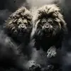 Paul Cadena - @paul.cadena - TikTok