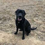 Paul Calnan - @calnanpaul - Instagram