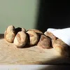 Paul Campagna - @2181564166 - TikTok
