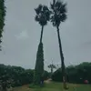 Paul Cañari 3:) - @paul210298 - TikTok