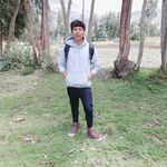Paul Cañari Chavez - @paulcanarichavez - Instagram