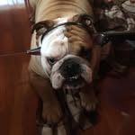 Paul Cañas Caru - @polo45331 - Instagram