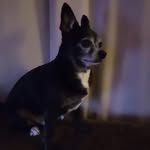 Paul Cn - @paul.canas.39 - Instagram