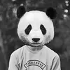 Paul Ramos Candela - @paulramoscandela - TikTok