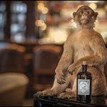 Paul Canney - @paul.canney.12 - Instagram