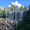 Paul Cano - @paul.cano28 - TikTok