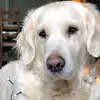 user3150925501142 - @paul.vanwalescappel - TikTok