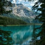 Paul Sebert Cardinal - @paul.cardinal - Instagram