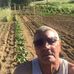 Paul Carta - Facebook