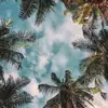 Paul Carta - @paulcarta7 - TikTok