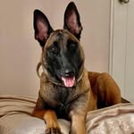 Paul Cartledge - @paulcartledge - Instagram
