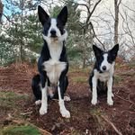 Paul Cartledge - @paulcartledge36 - Instagram
