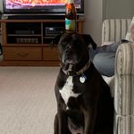 Paul Cascio - @paulvcascio - Instagram