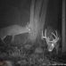 Paul Cascio - Facebook