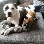 Paul Caspers - @caspers.paul - Instagram