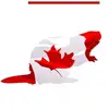 Paul_Castor.Fr - @paul_castor.fr - TikTok