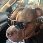Takes Otdk - @paulcatania - Instagram