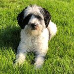 Paul Cathey - @packerpaul5212 - Instagram