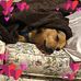 Paula Catlett - Facebook