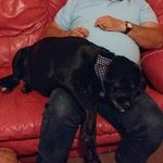 Paul Catterson - @cattersonpaul - Instagram