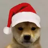Itz_paulz0 - @paul.cedillo4 - TikTok